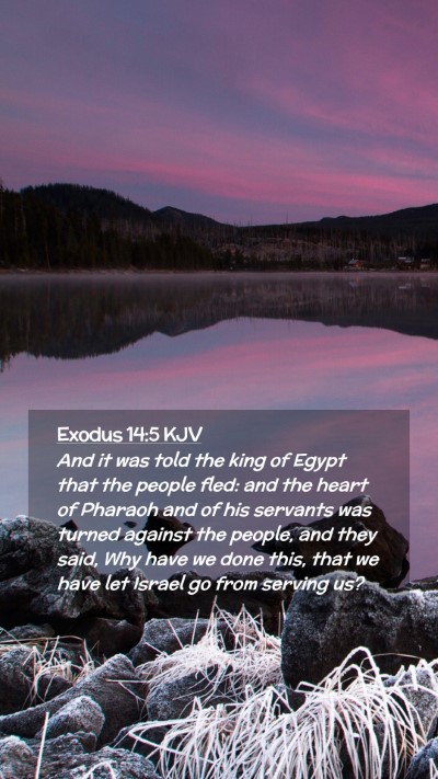 Picture 02 - Exodus 14:5 KJV Mobile Phone Wallpaper - And it was told the king of Egypt that the people - Mobile Bible Verse Wallpaper