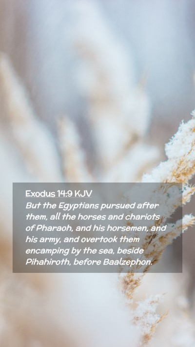 Picture 02 - Exodus 14:9 KJV Mobile Phone Wallpaper - But the Egyptians pursued after them, all the - Mobile Bible Verse Wallpaper