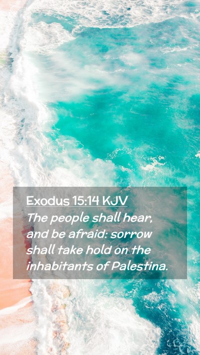 Picture 02 - Exodus 15:14 KJV Mobile Phone Wallpaper - The people shall hear, and be afraid: sorrow - Mobile Bible Verse Wallpaper