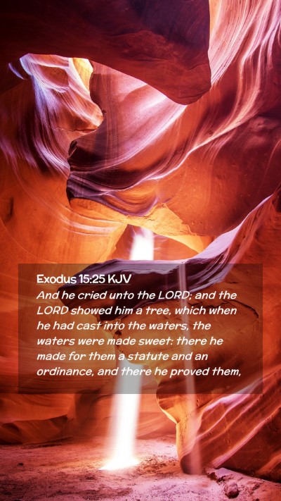 Picture 02 - Exodus 15:25 KJV Mobile Phone Wallpaper - And he cried unto the LORD; and the LORD showed - Mobile Bible Verse Wallpaper