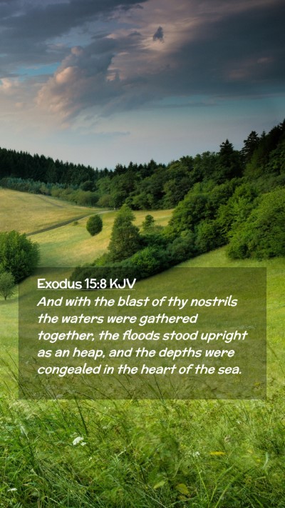 Picture 02 - Exodus 15:8 KJV Mobile Phone Wallpaper - And with the blast of thy nostrils the waters - Mobile Bible Verse Wallpaper