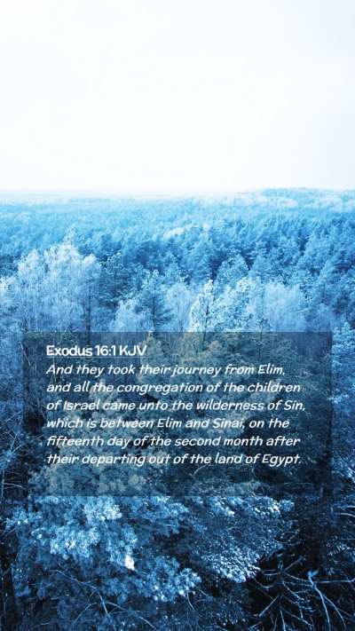 Picture 02 - Exodus 16:1 KJV Mobile Phone Wallpaper - And they took their journey from Elim, and all - Mobile Bible Verse Wallpaper