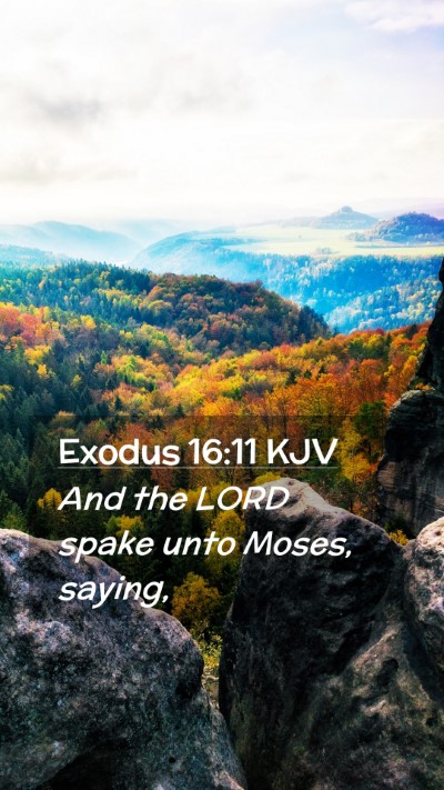 Picture 02 - Exodus 16:11 KJV Mobile Phone Wallpaper - And the LORD spake unto Moses, - Mobile Bible Verse Wallpaper