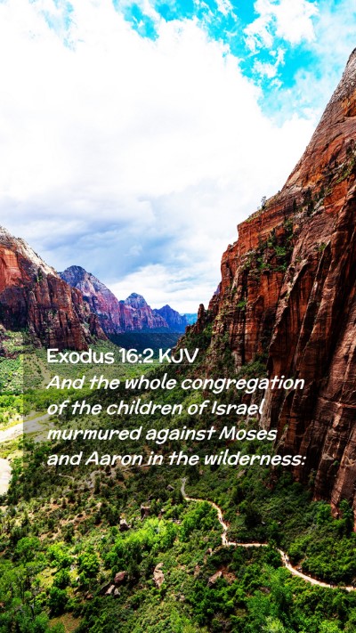 Picture 02 - Exodus 16:2 KJV Mobile Phone Wallpaper - And the whole congregation of the children of - Mobile Bible Verse Wallpaper