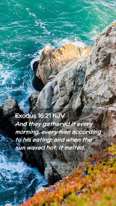 Picture 02 - Exodus 16:21 KJV Mobile Phone Wallpaper - And they gathered it every morning, every man - Mobile Bible Verse Wallpaper