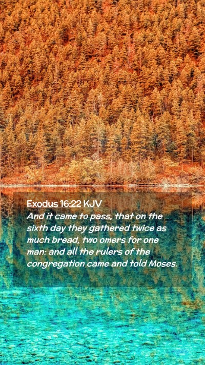Picture 02 - Exodus 16:22 KJV Mobile Phone Wallpaper - And it came to pass, that on the sixth day they - Mobile Bible Verse Wallpaper