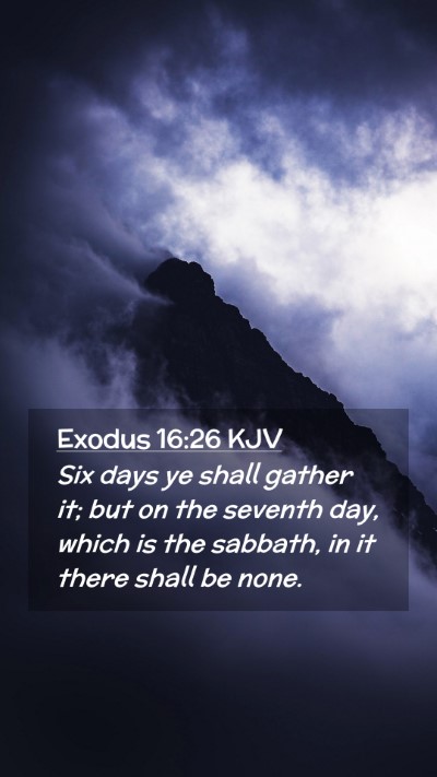 Picture 02 - Exodus 16:26 KJV Mobile Phone Wallpaper - Six days ye shall gather it; but on the seventh - Mobile Bible Verse Wallpaper
