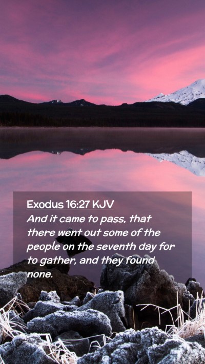 Picture 02 - Exodus 16:27 KJV Mobile Phone Wallpaper - And it came to pass, that there went out some of - Mobile Bible Verse Wallpaper