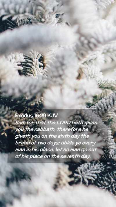 Picture 02 - Exodus 16:29 KJV Mobile Phone Wallpaper - See, for that the LORD hath given you the - Mobile Bible Verse Wallpaper
