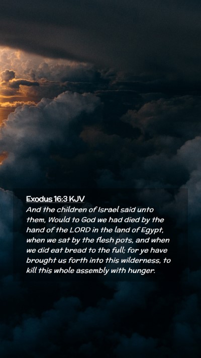 Picture 02 - Exodus 16:3 KJV Mobile Phone Wallpaper - And the children of Israel said unto them, Would - Mobile Bible Verse Wallpaper