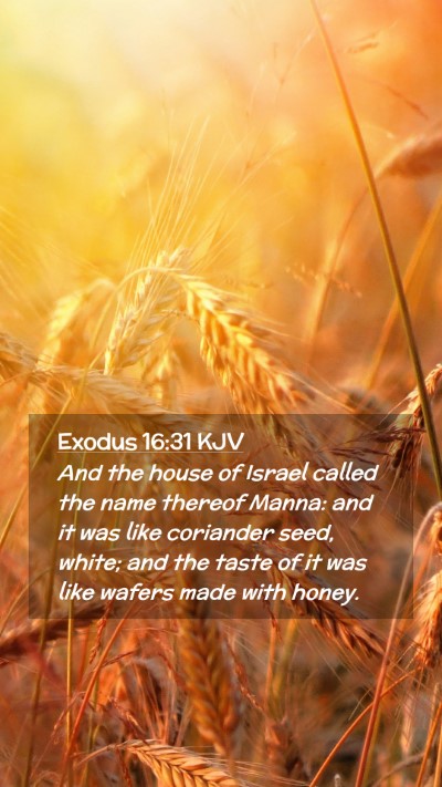 Picture 02 - Exodus 16:31 KJV Mobile Phone Wallpaper - And the house of Israel called the name thereof - Mobile Bible Verse Wallpaper