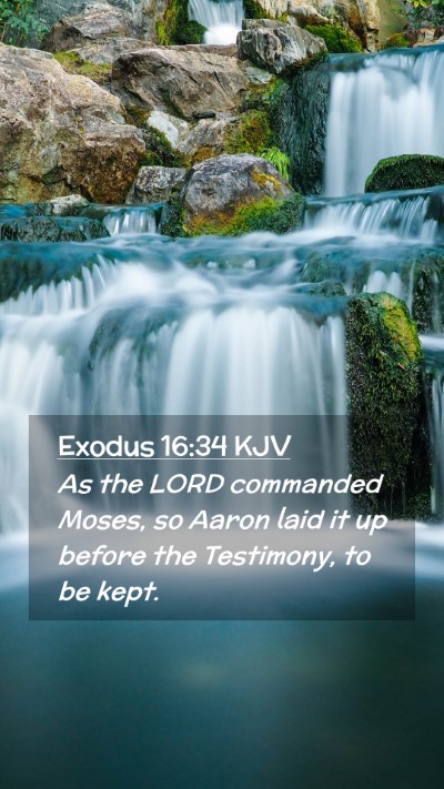 Picture 02 - Exodus 16:34 KJV Mobile Phone Wallpaper - As the LORD commanded Moses, so Aaron laid it up - Mobile Bible Verse Wallpaper