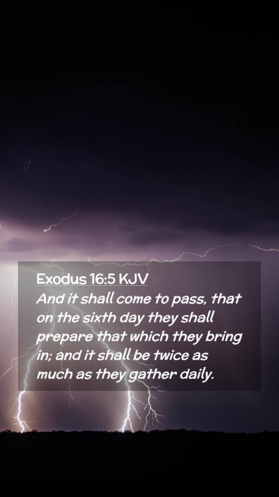 Picture 02 - Exodus 16:5 KJV Mobile Phone Wallpaper - And it shall come to pass, that on the sixth day - Mobile Bible Verse Wallpaper