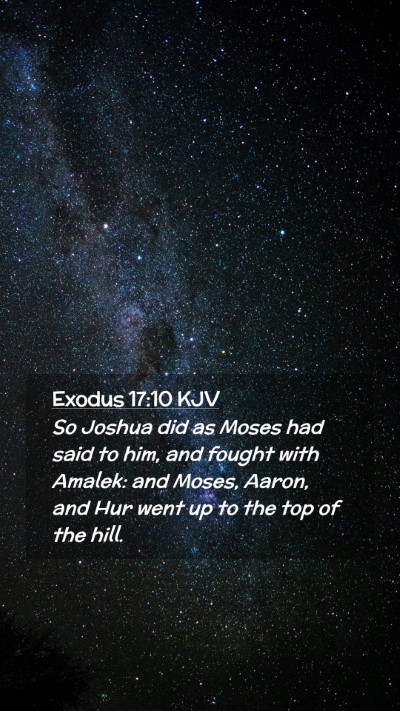 Picture 02 - Exodus 17:10 KJV Mobile Phone Wallpaper - So Joshua did as Moses had said to him, and - Mobile Bible Verse Wallpaper