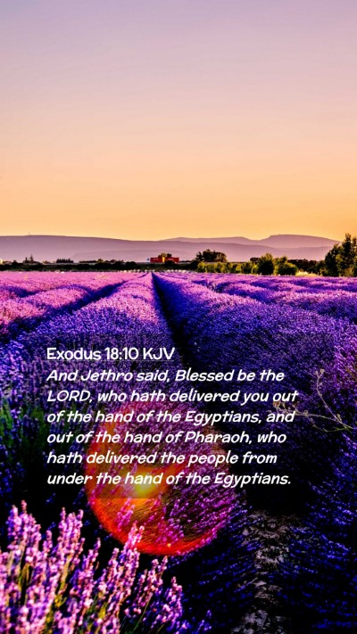 Picture 02 - Exodus 18:10 KJV Mobile Phone Wallpaper - And Jethro said, Blessed be the LORD, who hath - Mobile Bible Verse Wallpaper