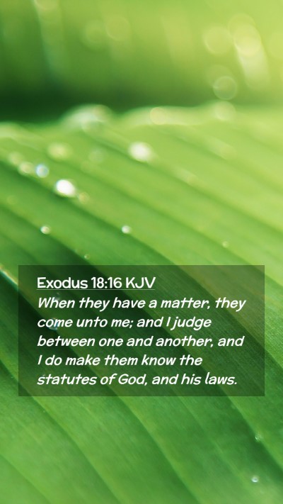 Picture 02 - Exodus 18:16 KJV Mobile Phone Wallpaper - When they have a matter, they come unto me; and I - Mobile Bible Verse Wallpaper