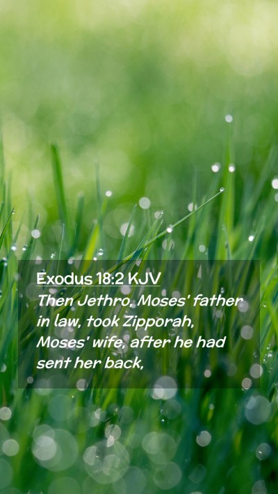 Picture 02 - Exodus 18:2 KJV Mobile Phone Wallpaper - Then Jethro, Moses' father in law, took Zipporah, - Mobile Bible Verse Wallpaper