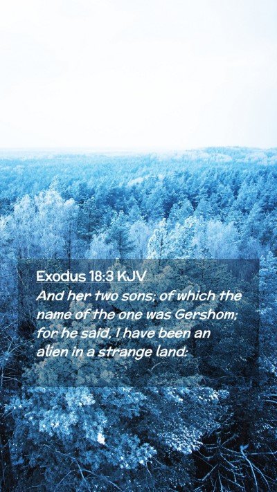 Picture 02 - Exodus 18:3 KJV Mobile Phone Wallpaper - And her two sons; of which the name of the one - Mobile Bible Verse Wallpaper