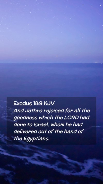 Picture 02 - Exodus 18:9 KJV Mobile Phone Wallpaper - And Jethro rejoiced for all the goodness which - Mobile Bible Verse Wallpaper