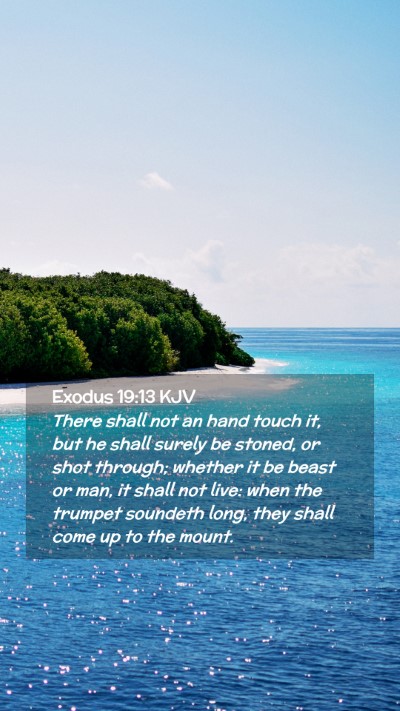 Picture 02 - Exodus 19:13 KJV Mobile Phone Wallpaper - There shall not an hand touch it, but he shall - Mobile Bible Verse Wallpaper