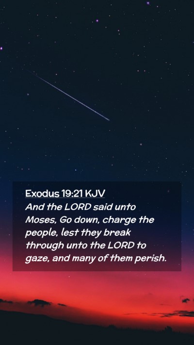 Picture 02 - Exodus 19:21 KJV Mobile Phone Wallpaper - And the LORD said unto Moses, Go down, charge the - Mobile Bible Verse Wallpaper