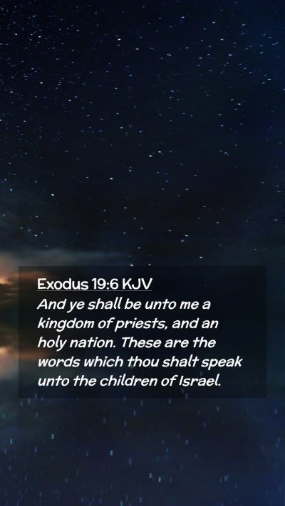Picture 02 - Exodus 19:6 KJV Mobile Phone Wallpaper - And ye shall be unto me a kingdom of priests, and - Mobile Bible Verse Wallpaper
