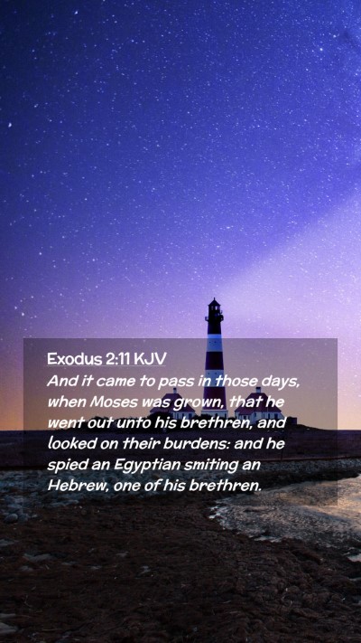 Picture 02 - Exodus 2:11 KJV Mobile Phone Wallpaper - And it came to pass in those days, when Moses was - Mobile Bible Verse Wallpaper