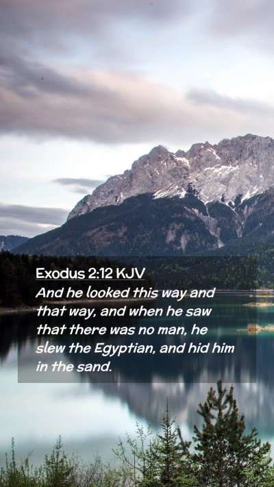 Picture 02 - Exodus 2:12 KJV Mobile Phone Wallpaper - And he looked this way and that way, and when he - Mobile Bible Verse Wallpaper