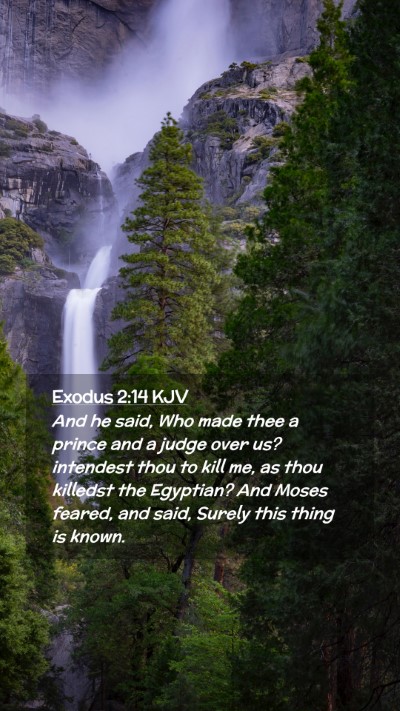 Picture 02 - Exodus 2:14 KJV Mobile Phone Wallpaper - And he said, Who made thee a prince and a judge - Mobile Bible Verse Wallpaper