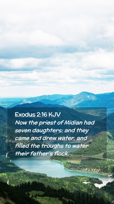 Picture 02 - Exodus 2:16 KJV Mobile Phone Wallpaper - Now the priest of Midian had seven daughters: and - Mobile Bible Verse Wallpaper