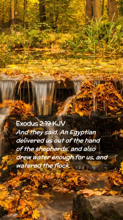 Picture 02 - Exodus 2:19 KJV Mobile Phone Wallpaper - And they said, An Egyptian delivered us out of - Mobile Bible Verse Wallpaper
