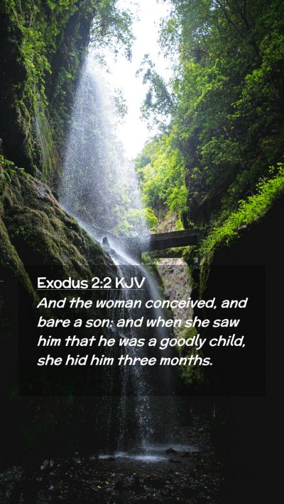 Picture 02 - Exodus 2:2 KJV Mobile Phone Wallpaper - And the woman conceived, and bare a son: and when - Mobile Bible Verse Wallpaper