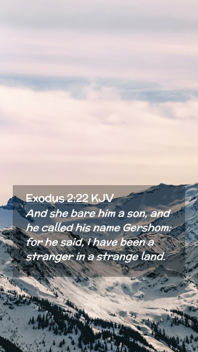 Picture 02 - Exodus 2:22 KJV Mobile Phone Wallpaper - And she bare him a son, and he called his name - Mobile Bible Verse Wallpaper