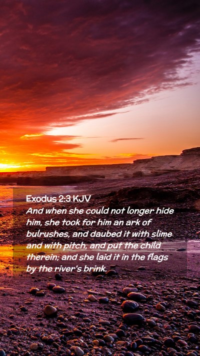 Picture 02 - Exodus 2:3 KJV Mobile Phone Wallpaper - And when she could not longer hide him, she took - Mobile Bible Verse Wallpaper