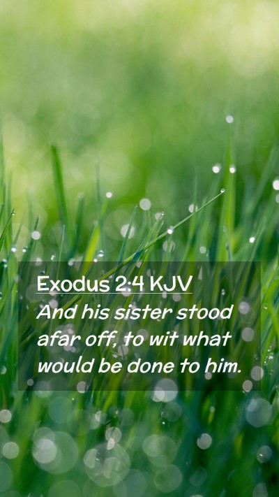 Picture 02 - Exodus 2:4 KJV Mobile Phone Wallpaper - And his sister stood afar off, to wit what would - Mobile Bible Verse Wallpaper