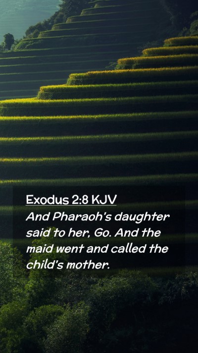 Picture 02 - Exodus 2:8 KJV Mobile Phone Wallpaper - And Pharaoh's daughter said to her, Go. And the - Mobile Bible Verse Wallpaper