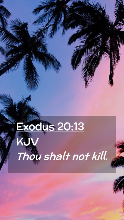 Picture 02 - Exodus 20:13 KJV Mobile Phone Wallpaper - Thou shalt not - Mobile Bible Verse Wallpaper