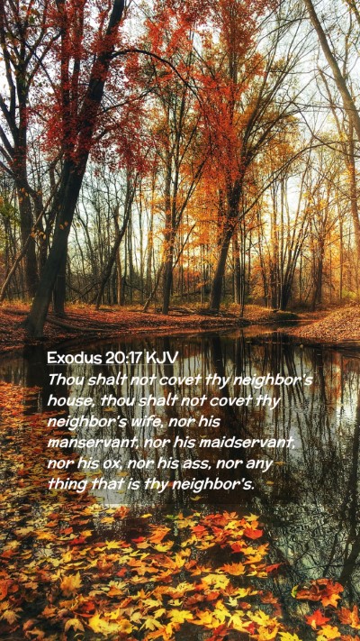 Picture 02 - Exodus 20:17 KJV Mobile Phone Wallpaper - Thou shalt not covet thy neighbor's house, thou - Mobile Bible Verse Wallpaper
