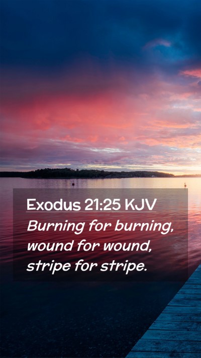 Picture 02 - Exodus 21:25 KJV Mobile Phone Wallpaper - Burning for burning, wound for wound, stripe for - Mobile Bible Verse Wallpaper