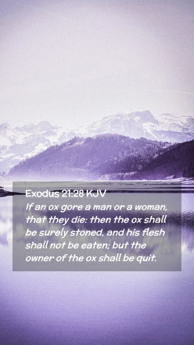 Picture 02 - Exodus 21:28 KJV Mobile Phone Wallpaper - If an ox gore a man or a woman, that they die: - Mobile Bible Verse Wallpaper