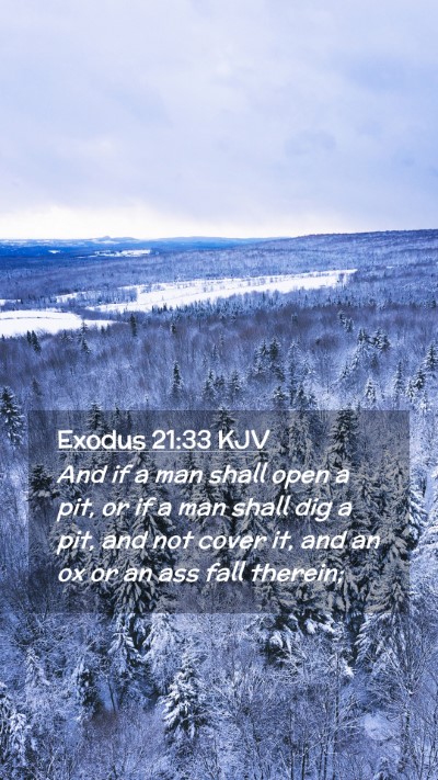 Picture 02 - Exodus 21:33 KJV Mobile Phone Wallpaper - And if a man shall open a pit, or if a man shall - Mobile Bible Verse Wallpaper