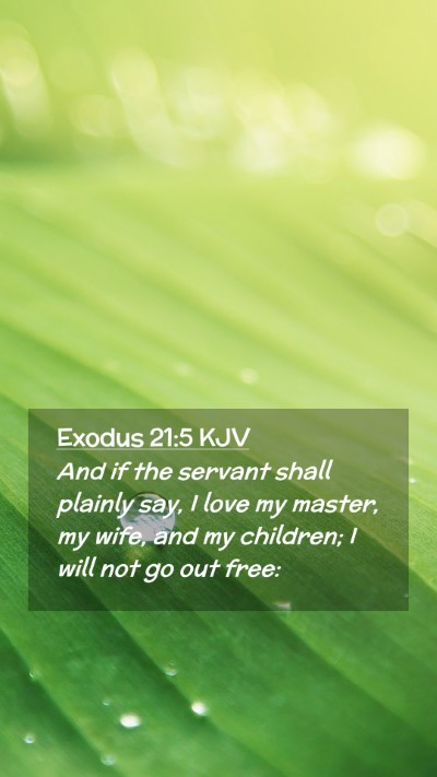Picture 02 - Exodus 21:5 KJV Mobile Phone Wallpaper - And if the servant shall plainly say, I love my - Mobile Bible Verse Wallpaper
