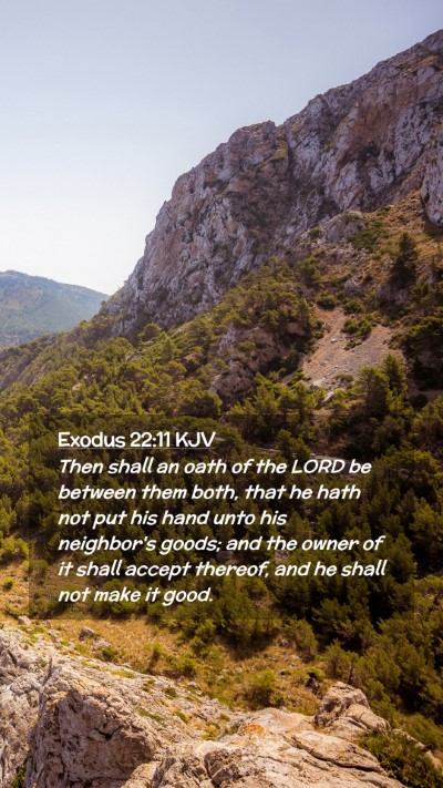 Picture 02 - Exodus 22:11 KJV Mobile Phone Wallpaper - Then shall an oath of the LORD be between them - Mobile Bible Verse Wallpaper