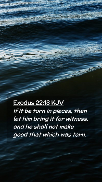 Picture 02 - Exodus 22:13 KJV Mobile Phone Wallpaper - If it be torn in pieces, then let him bring it - Mobile Bible Verse Wallpaper