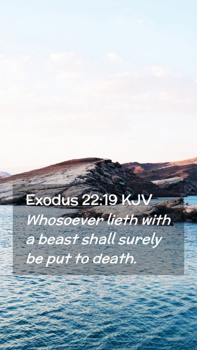 Picture 02 - Exodus 22:19 KJV Mobile Phone Wallpaper - Whosoever lieth with a beast shall surely be put - Mobile Bible Verse Wallpaper