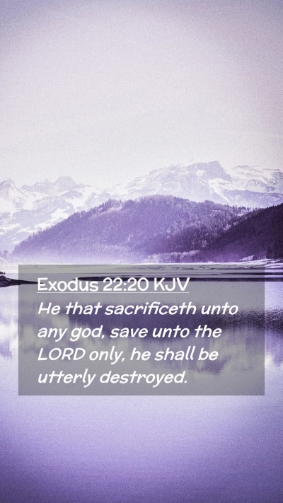 Picture 02 - Exodus 22:20 KJV Mobile Phone Wallpaper - He that sacrificeth unto any god, save unto the - Mobile Bible Verse Wallpaper