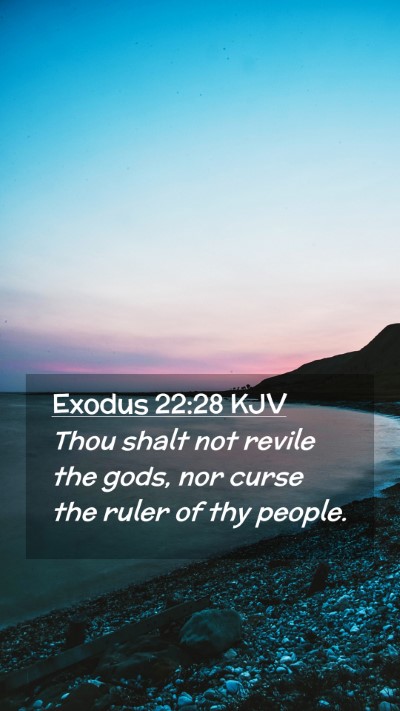 Picture 02 - Exodus 22:28 KJV Mobile Phone Wallpaper - Thou shalt not revile the gods, nor curse the - Mobile Bible Verse Wallpaper