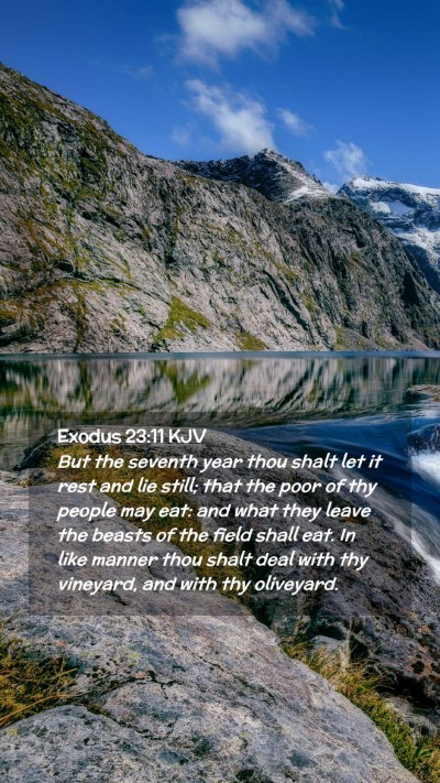 Picture 02 - Exodus 23:11 KJV Mobile Phone Wallpaper - But the seventh year thou shalt let it rest and - Mobile Bible Verse Wallpaper