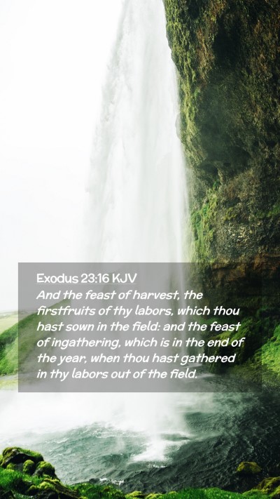 Picture 02 - Exodus 23:16 KJV Mobile Phone Wallpaper - And the feast of harvest, the firstfruits of thy - Mobile Bible Verse Wallpaper