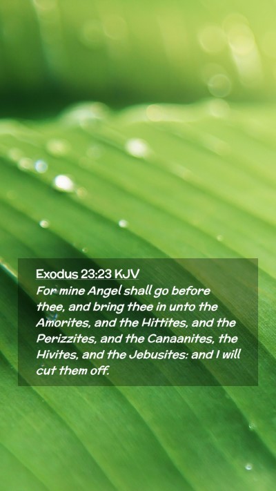 Picture 02 - Exodus 23:23 KJV Mobile Phone Wallpaper - For mine Angel shall go before thee, and bring - Mobile Bible Verse Wallpaper